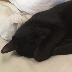 Meet your Posher, Genevieve